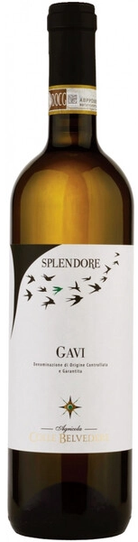 Вино Colle Belvedere, "Splendore" Gavi DOCG, 2018